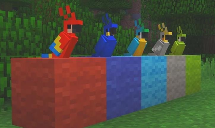 Comment élever des perroquets dans Minecraft: Tout ce que vous devez savoir