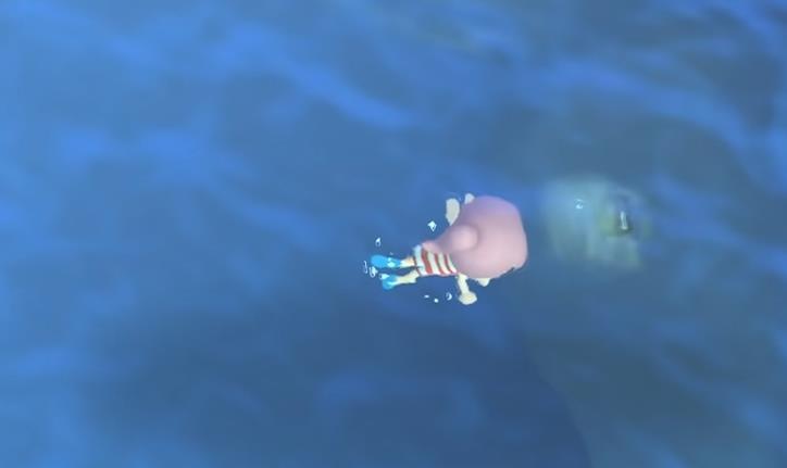 Comment obtenir des huîtres perlières dans Animal Crossing New Horizons (ACNH)