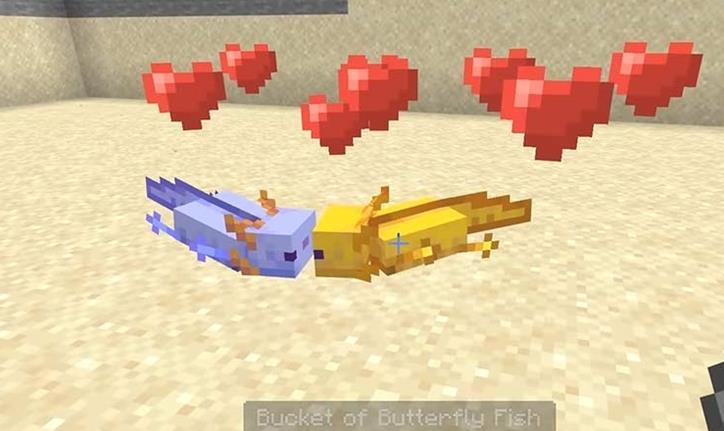 Minecraft: Comment invoquer un Axolotl bleu